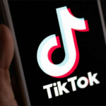 Read more about the article Politiker in sozialen Netzwerken: Warum die AfD auf Tiktok ein Monopol hat
